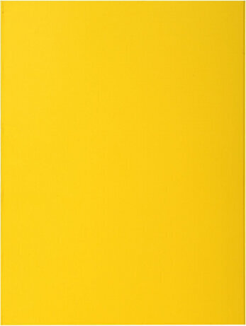 Exacompta Subfolder Exacompta Rock's Yellow A4 (100 Units) цена и информация | Kirjatarbed | kaup24.ee