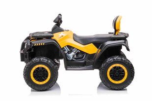 Quad Quad XT-SPEED 4x4, kollane цена и информация | Электромобили для детей | kaup24.ee