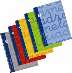 Lamela Notebook Lamela 3 mm 80 Sheets Din A4 Spiral (5 Units) цена и информация | Тетради и бумажные товары | kaup24.ee