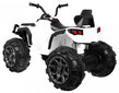 Quad ATV Quad ATV, valge цена и информация | Laste elektriautod | kaup24.ee