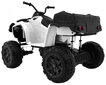 Quad XL ATV lastele, valge hind ja info | Laste elektriautod | kaup24.ee