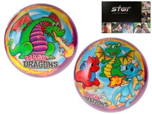 Pall - Magic Dragons цена и информация | Игрушки для песка, воды, пляжа | kaup24.ee