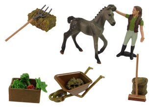 Hobusekasvataja figuurikomplekt hind ja info | Poiste mänguasjad | kaup24.ee