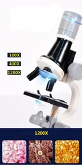 Детский набор микроскопов - научный микроскоп цена и информация | Развивающие игрушки и игры | kaup24.ee