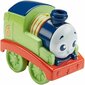 Väike rong - Thomas ja sõbrad, 1 tk hind ja info | Poiste mänguasjad | kaup24.ee