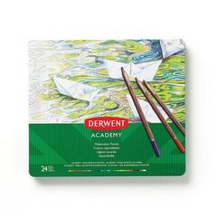 Акварельные карандаши Derwent Academy цена и информация | Принадлежности для рисования, лепки | kaup24.ee
