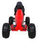 Go-Kart Strong, punane hind ja info | Poiste mänguasjad | kaup24.ee
