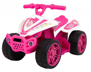Little Monster elektriline Quad Bike lastele, roosa hind ja info | Laste elektriautod | kaup24.ee