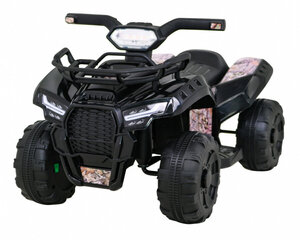 Квадроцикл Quad Storm, черный цена и информация | Электромобили для детей | kaup24.ee