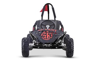 Fast Dragon elektriline gokart, must цена и информация | Электромобили для детей | kaup24.ee