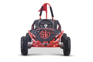 Fast Dragon elektriline gokart, punane цена и информация | Электромобили для детей | kaup24.ee