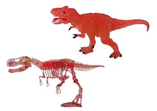 Arheoloogiliste kaevamiste komplekt, Tyrannosaurus Rex hind ja info | Arendavad mänguasjad | kaup24.ee