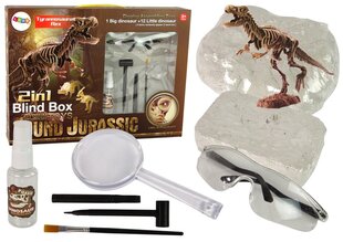 Arheoloogiliste väljakaevamiste komplekt - dinosauruse skelett hind ja info | Arendavad mänguasjad | kaup24.ee