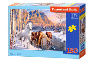 Puzzle, 180 d. hind ja info | Pusled | kaup24.ee