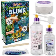 Slime Jelly Set Chameleon hind ja info | Arendavad mänguasjad | kaup24.ee