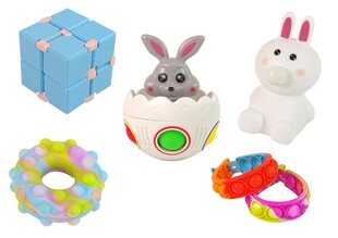 Stressivastane mänguasjakomplekt - Fidget Toys hind ja info | Arendavad mänguasjad | kaup24.ee