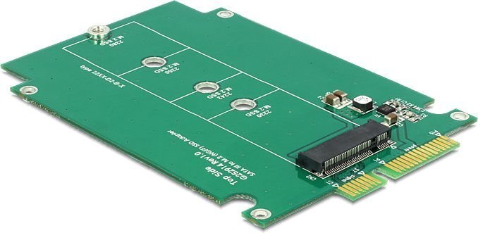 Delock 2.5″ Converter SATA 22 Pin > M.2 NGFF (62552) цена и информация | Komponentide tarvikud | kaup24.ee