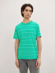 Tom Tailor мужская футболка 1035594*31374, зелёный/белый 4065869819398 цена и информация | Мужские футболки | kaup24.ee
