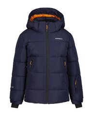 Icepeak детская куртка 300g Louin 50035-2*390, тёмно-синий 6438522711021 цена и информация | Куртки для мальчиков | kaup24.ee