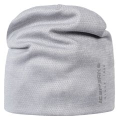 Icepeak детская шапка Haan 58835-3*205, светло-серый 6438549083934 цена и информация | Шапки, перчатки, шарфы для мальчиков | kaup24.ee