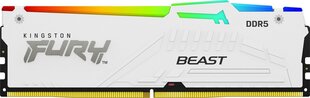 Kingston Fury Beast RGB (KF560C36BWEA-16) цена и информация | Оперативная память (RAM) | kaup24.ee