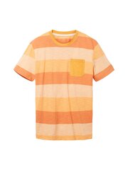 Meeste T-särk Tom Tailor, oranž hind ja info | Meeste T-särgid | kaup24.ee