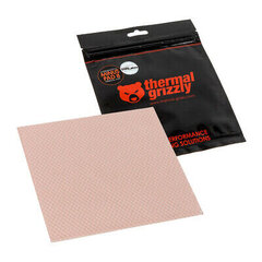 Thermal Grizzly Minus Pad 8 100 x 100 x 0.5 mm (TG-MP8-100-100-05-1R) цена и информация | Аксессуары для компонентов | kaup24.ee