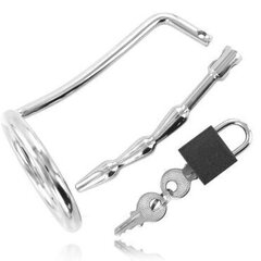 METAL HARD CHASTITY COCK RING URETRAL цена и информация | БДСМ и фетиш | kaup24.ee