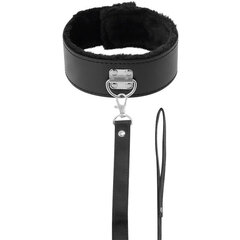 DARKNESS COLLAR WITH LEASH TITANIUM цена и информация | БДСМ и фетиш | kaup24.ee