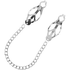 DARKNESS NIPPLE CLAMPS  WITH CHAIN цена и информация | БДСМ и фетиш | kaup24.ee