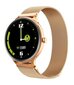 Blackview X2 Gold цена и информация | Nutikellad (smartwatch) | kaup24.ee