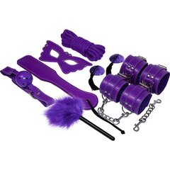 EXPERIENCE BDSM FETISH KIT PURPLE SERIES цена и информация | Наборы секс-товаров | kaup24.ee