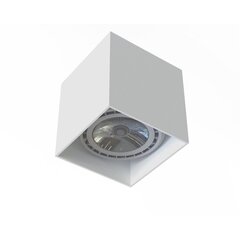 Потолочный светильник Nowodvorski Lighting Cobble цена и информация | Потолочные светильники | kaup24.ee