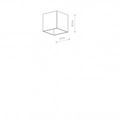 Nowodvorski Lighting laevalgusti Cobble hind ja info | Laelambid | kaup24.ee