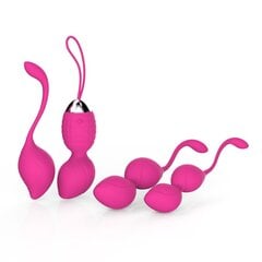 Kegel Ball Set 4 etappi koos kaugjuhtimispuldiga hind ja info | Vaginaalkuulid | kaup24.ee