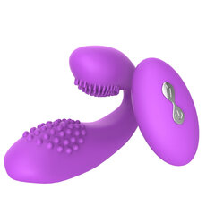 Vibraator puldiga Couple Vibrator hind ja info | Vibraatorid | kaup24.ee