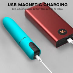 Mini 10-režiimiline veekindel USB-laetav vibraator цена и информация | Вибраторы | kaup24.ee