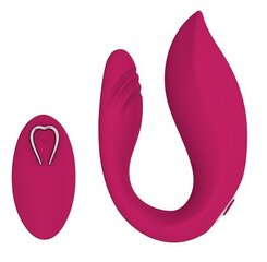 Couples vibrator with remote control Martha Vibe Pink цена и информация | Вибраторы | kaup24.ee