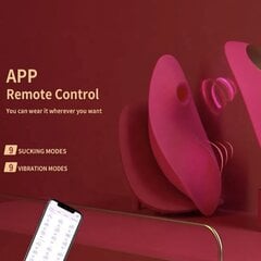 Всасывающий вибратор для трусиков APP Control цена и информация | Вибраторы | kaup24.ee