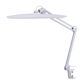 Laualamp LED 24W hind ja info | Laualambid | kaup24.ee