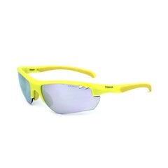 Мужские солнечные очки Polaroid PLD3004-S-PLM цена и информация | Солнцезащитные очки для мужчин | kaup24.ee