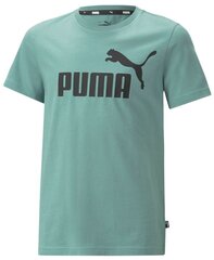 Puma детская футболка 586960*84, мятный 4065453328633 цена и информация | Рубашки для мальчиков | kaup24.ee