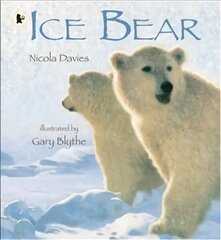 Ice Bear цена и информация | Книги для подростков и молодежи | kaup24.ee