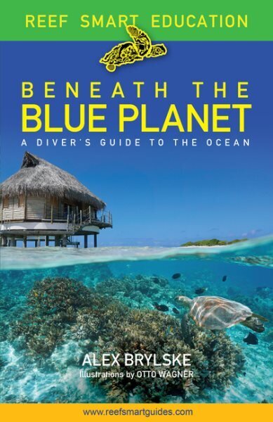 Beneath the Blue Planet: A Diver's Guide to the Ocean and Its Conservation (Adult nature book and travel gift) цена и информация | Tervislik eluviis ja toitumine | kaup24.ee