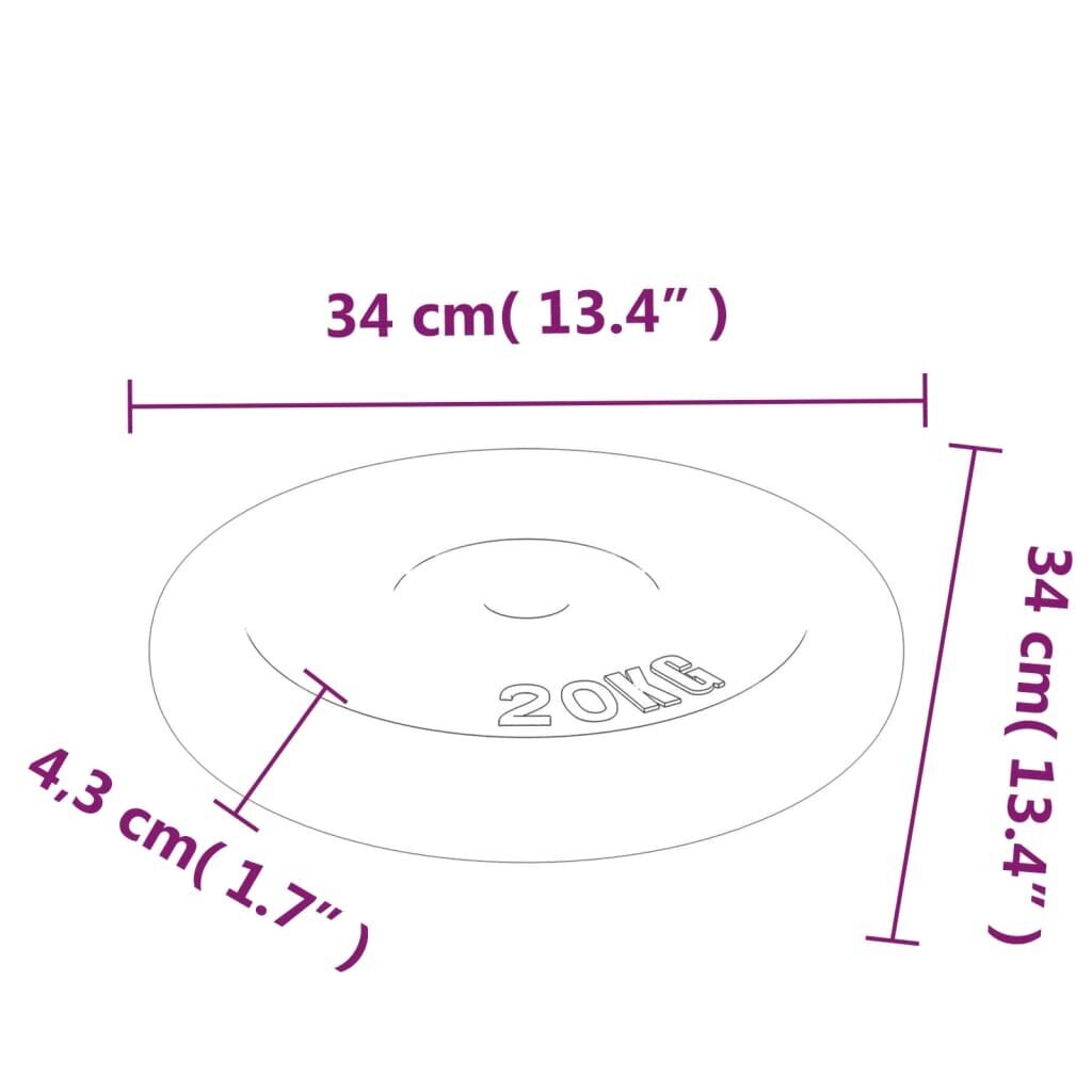 vidaXL kaaluplaat, 40 kg, malm hind ja info | Hantlid, kangid, raskused | kaup24.ee