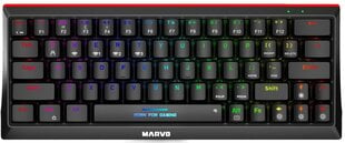 Marvo KG980B TKL 60% беспроводной механическая клавиатура с подсветкой RGB (US, Blue switch) цена и информация | Клавиатуры | kaup24.ee