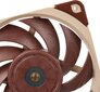 Noctua NF-A12x25 ULN цена и информация | Arvuti ventilaatorid | kaup24.ee