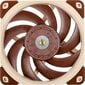 Noctua NF-A12x25 5V цена и информация | Arvuti ventilaatorid | kaup24.ee