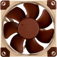 Noctua NF-A8 5V цена и информация | Компьютерные вентиляторы | kaup24.ee