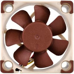 Ventilaator Noctua NF-A4x10 FLX цена и информация | Компьютерные вентиляторы | kaup24.ee